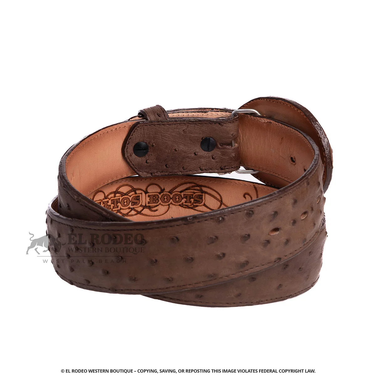 Men Los Altos Ostrich Belt C11UG0307 - Image 2