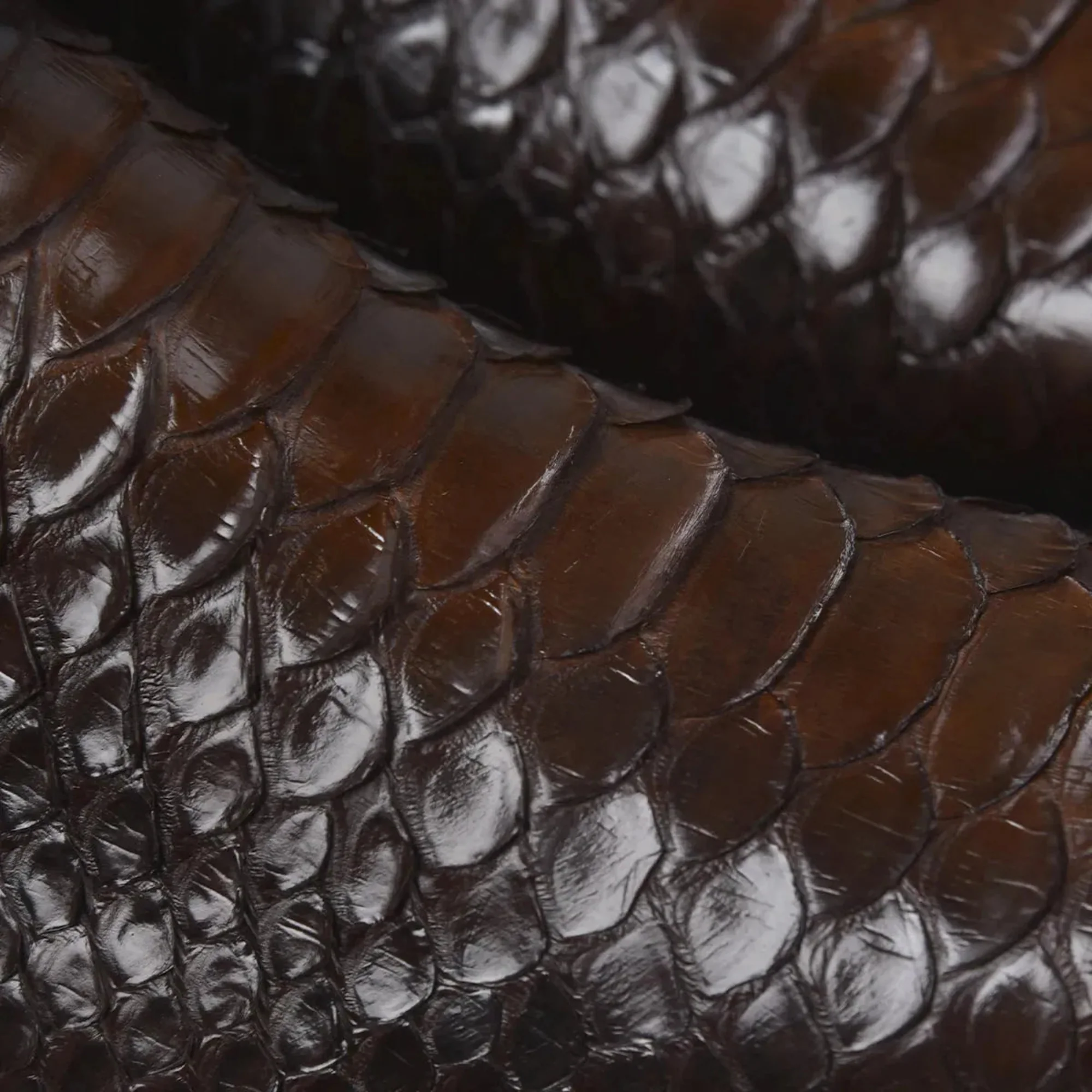 Men Franco Cuadra Python Boot FC818 - Image 6