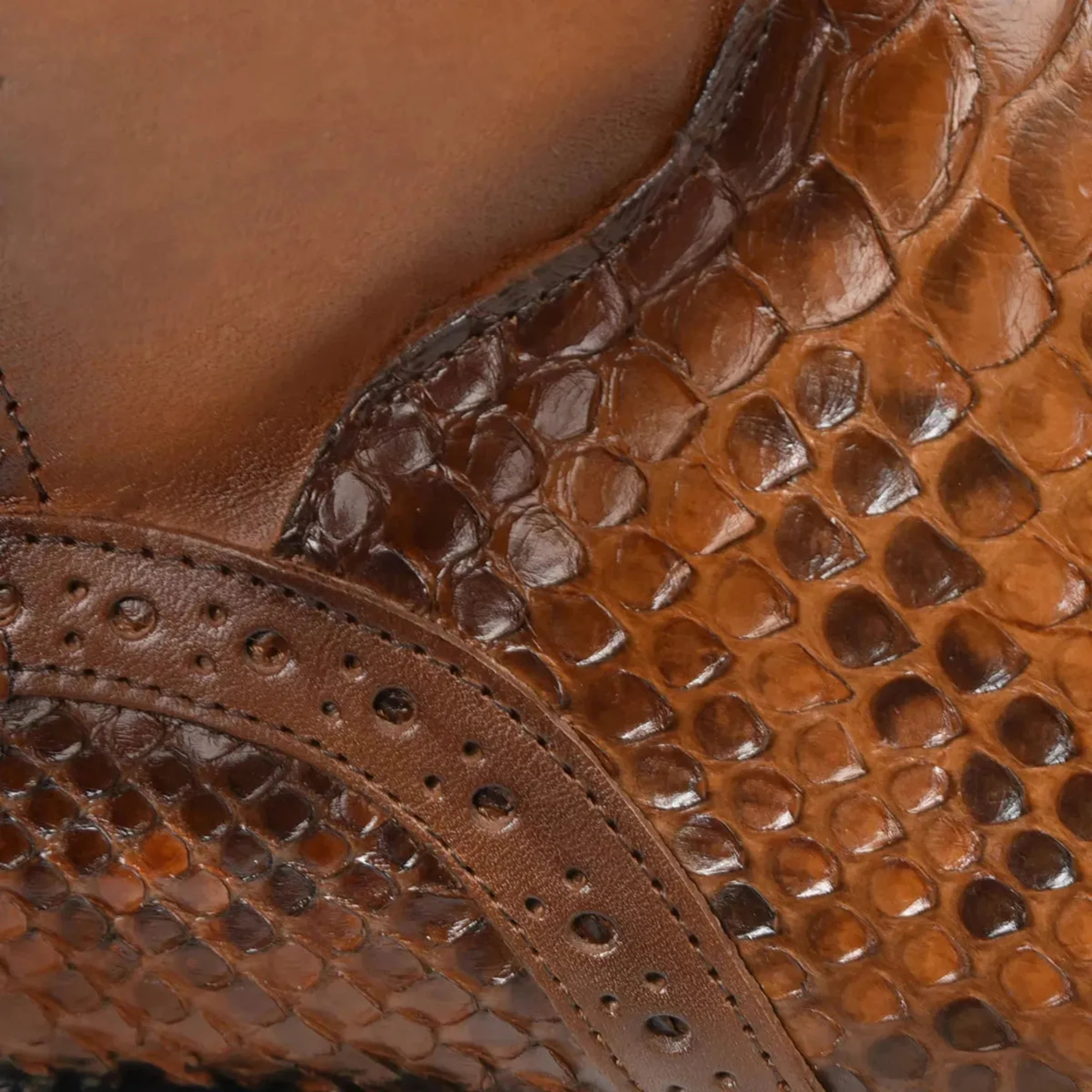 Men Franco Cuadra Python Ankle Boot FC819 - Image 6