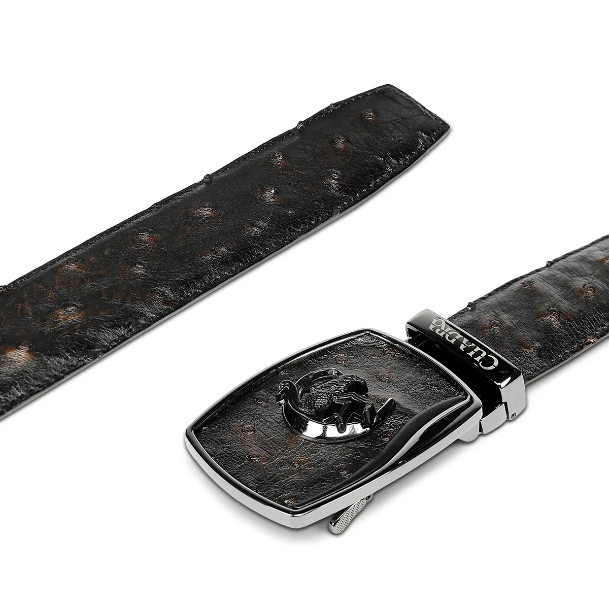 Men Cuadra Ostrich Belt BC478 - Image 2