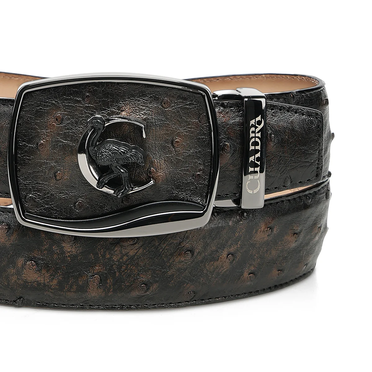 Men Cuadra Ostrich Belt BC478 - Image 3