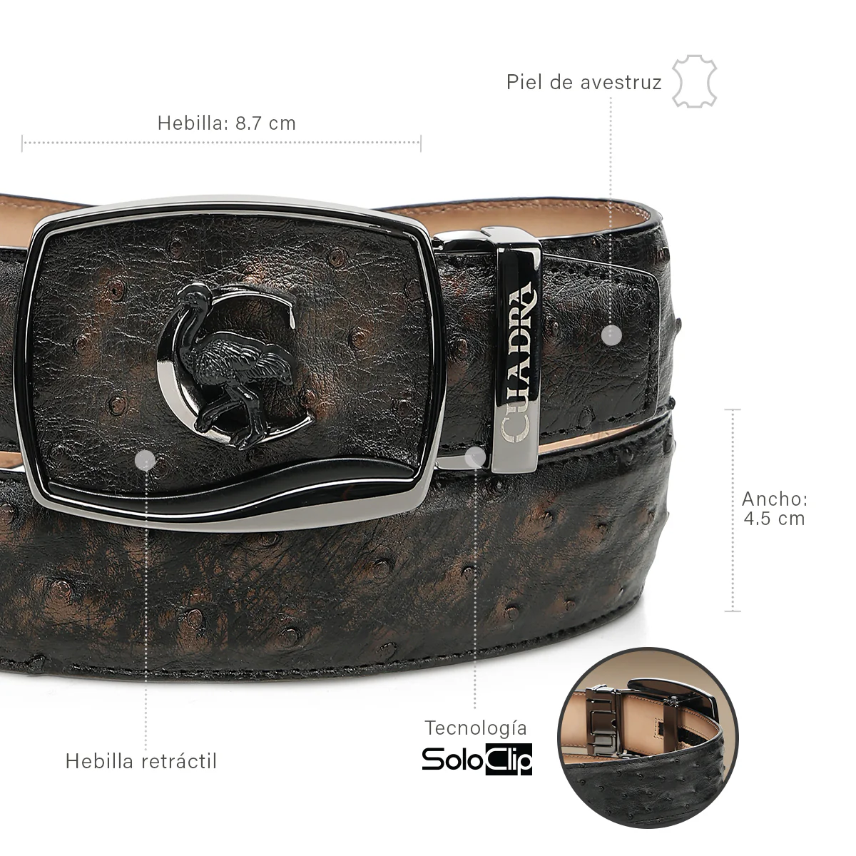 Men Cuadra Ostrich Belt BC478 - Image 4