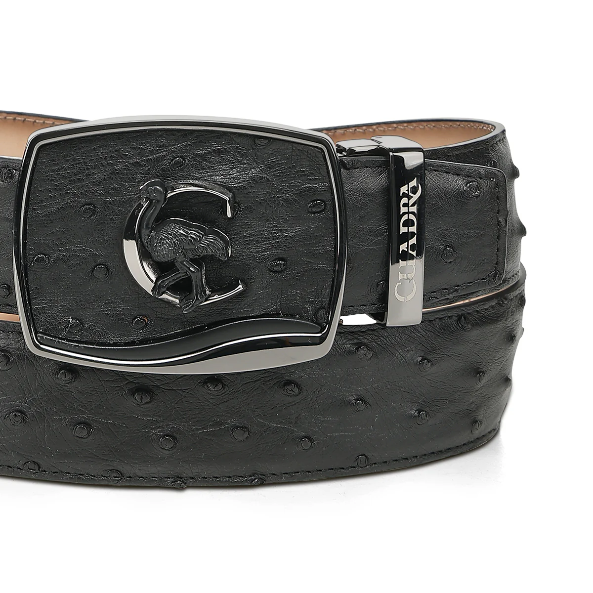 Men Cuadra Ostrich Belt BC479 - Image 2