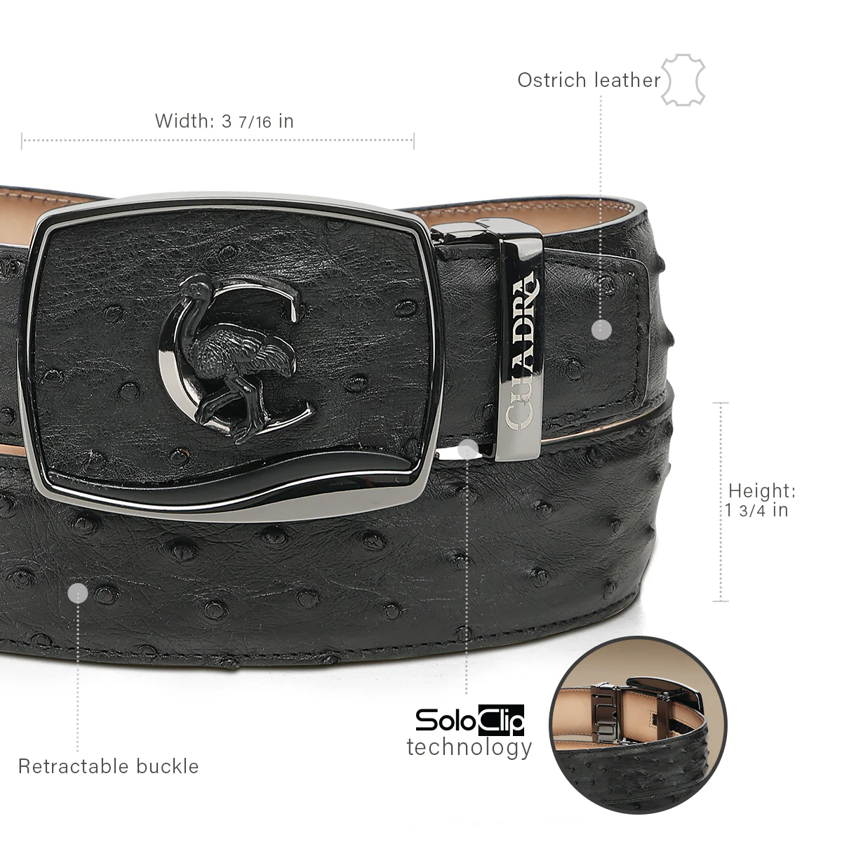Men Cuadra Ostrich Belt BC479 - Image 5