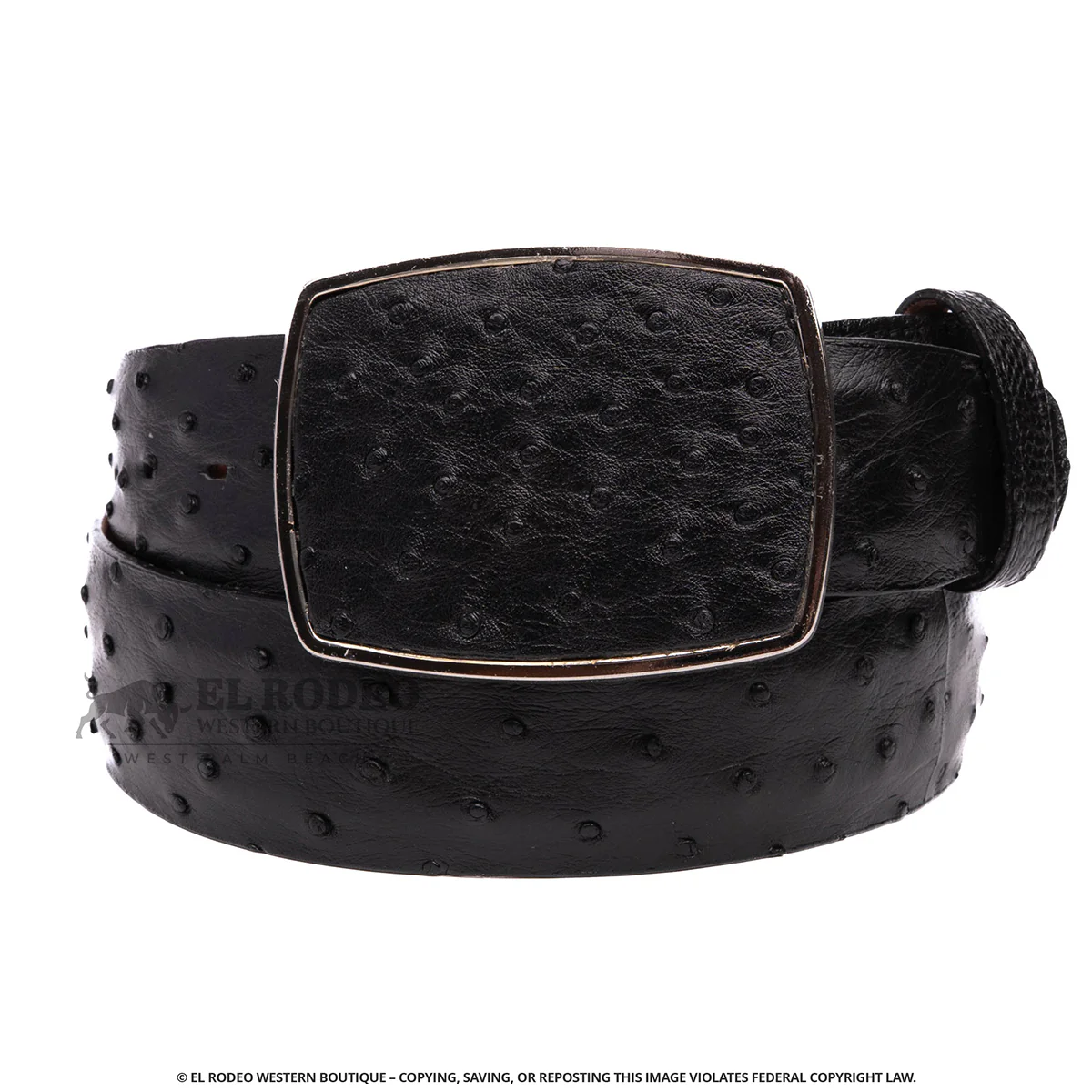 Men Los Altos Ostrich Belt C11A0305