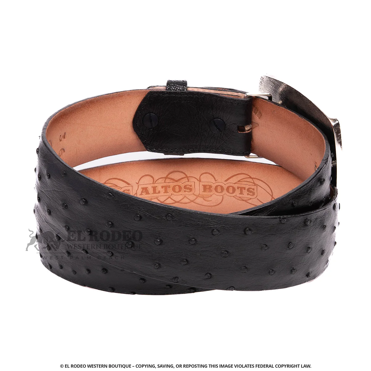 Men Los Altos Ostrich Belt C11A0305 - Image 2