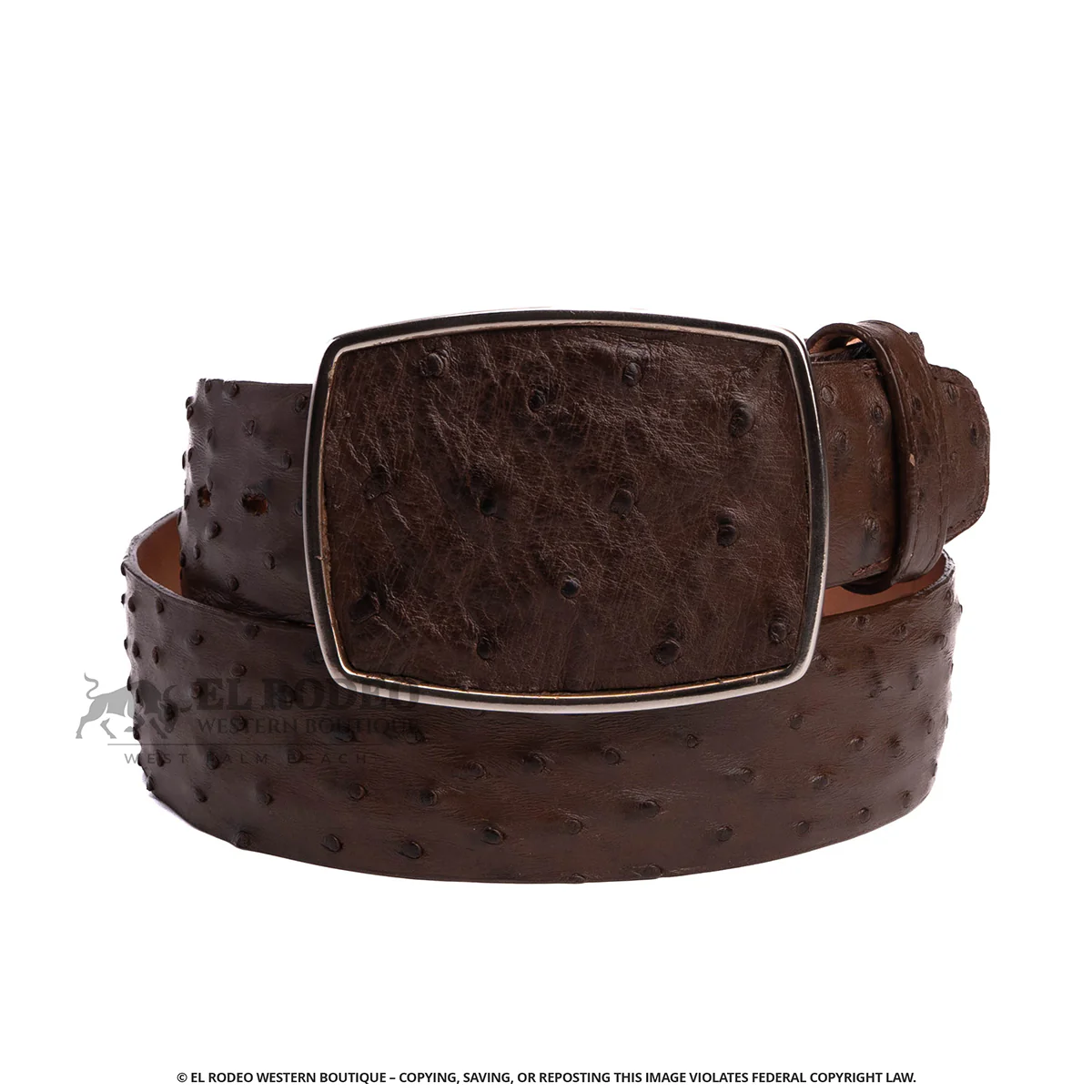 Men Los Altos Ostrich Belt C11A0307