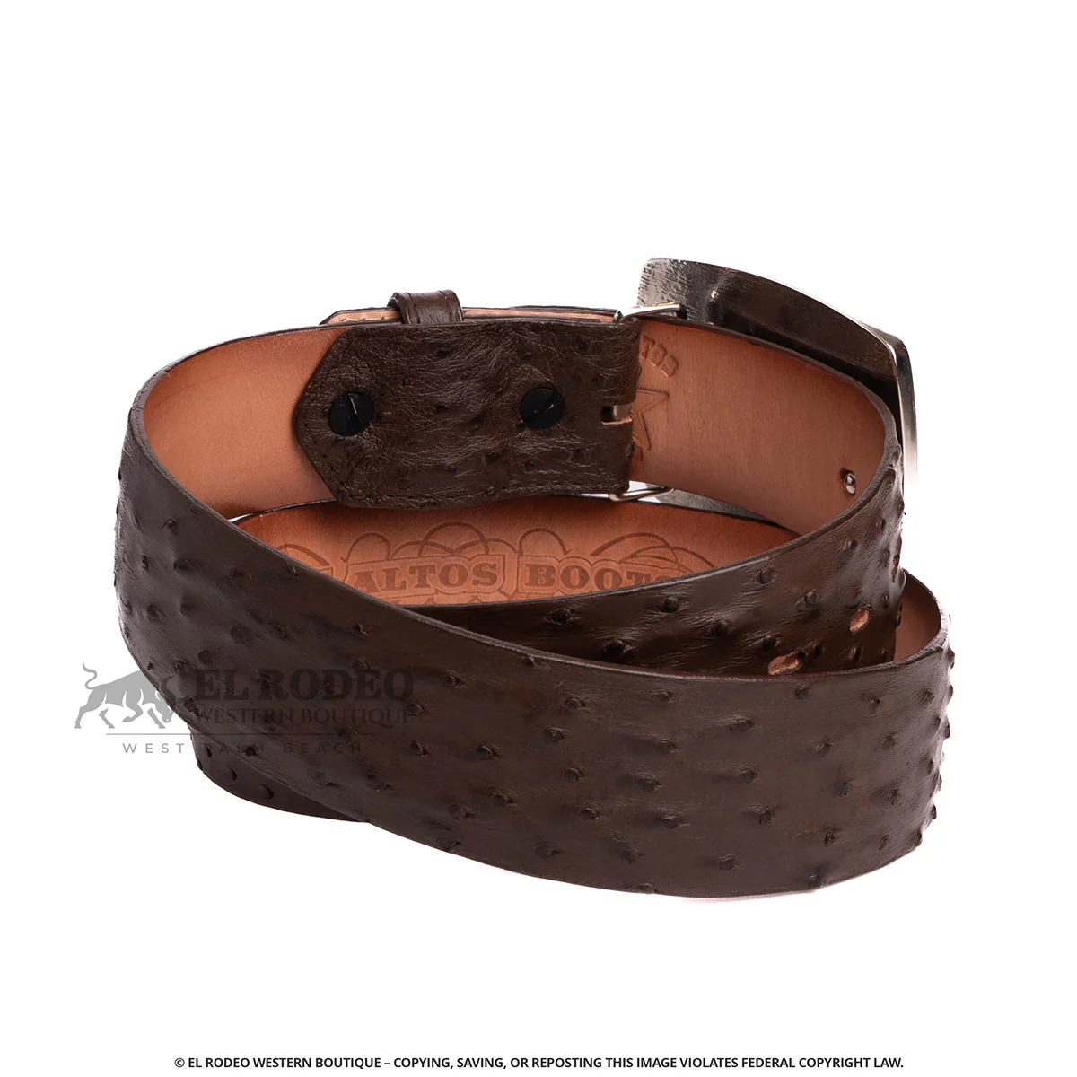 Men Los Altos Ostrich Belt C11A0307 - Image 2