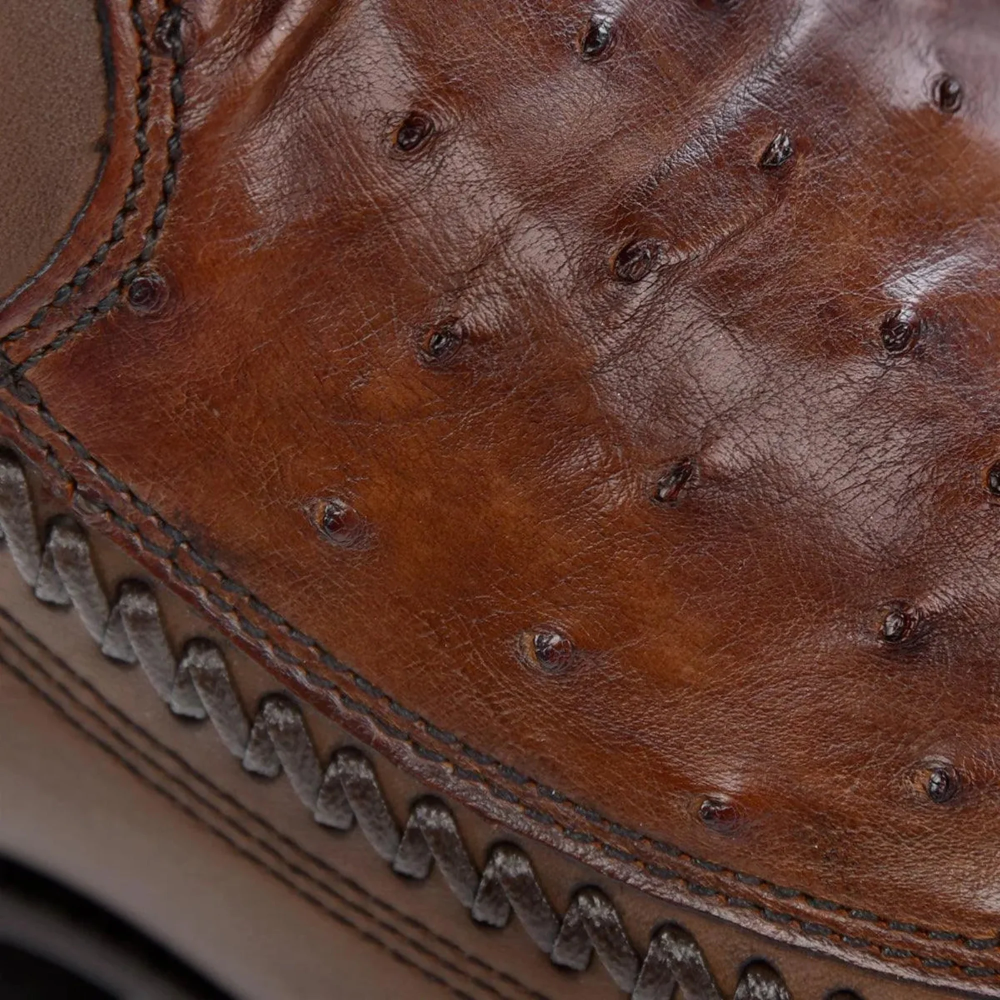 Men Cuadra Ostrich Boot CU804 - Image 6