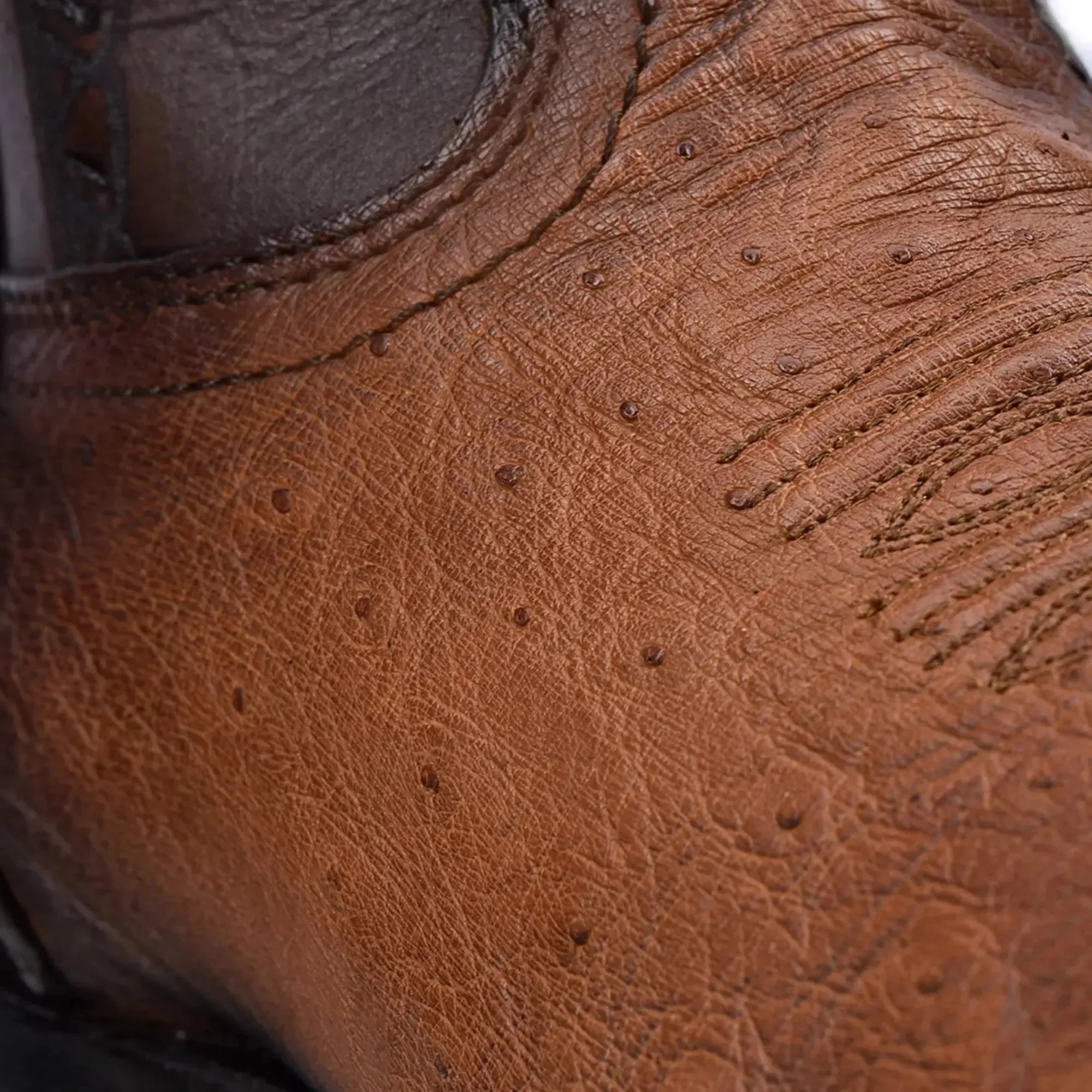 Men Cuadra Smooth Ostrich Boot CU462 - Image 3