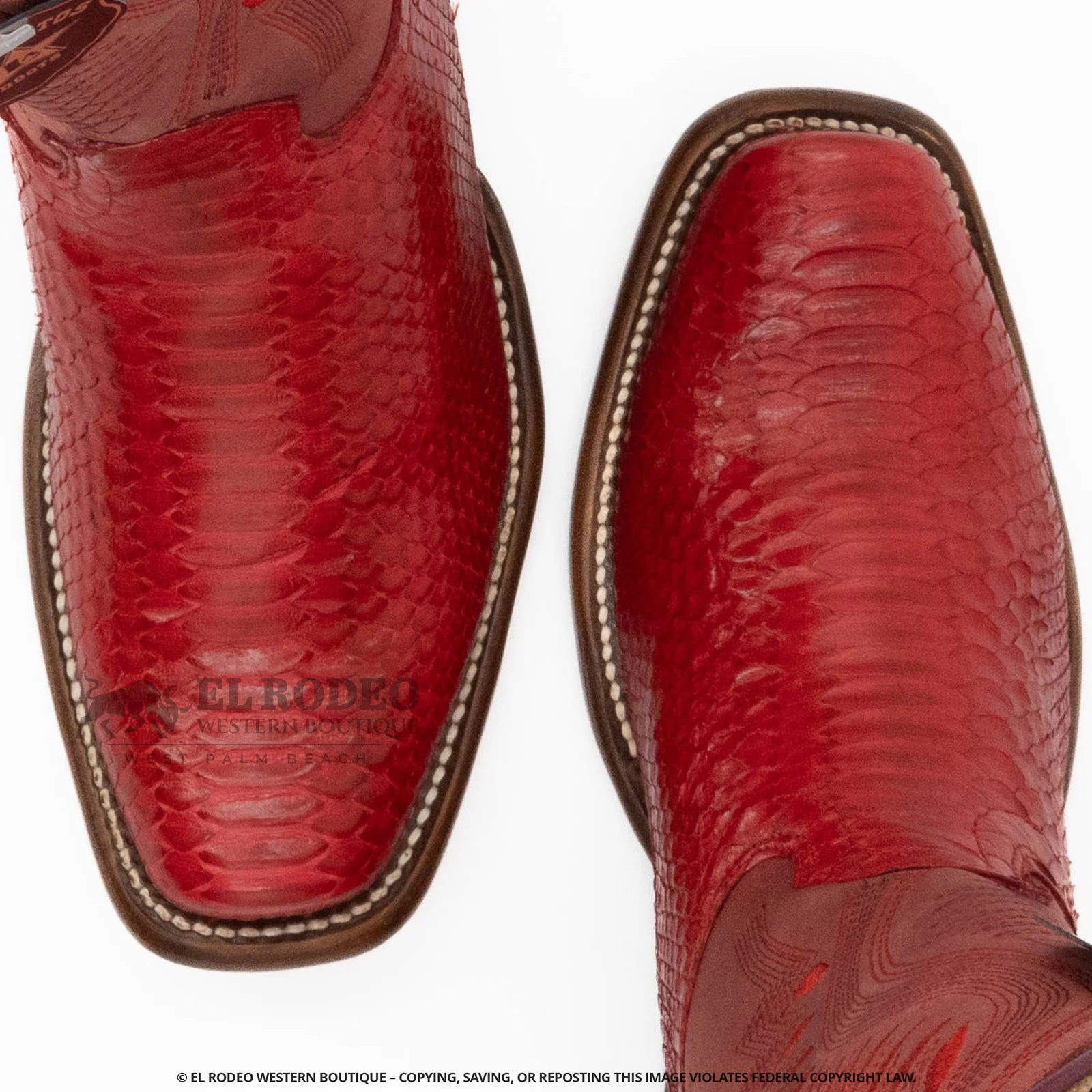 Women Los Altos Python Boot H39N5712 - Image 5